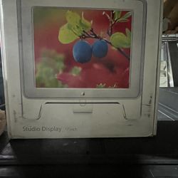 17 Inch Apple Monitor