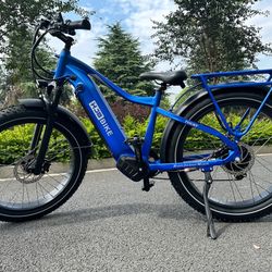 E Bike 