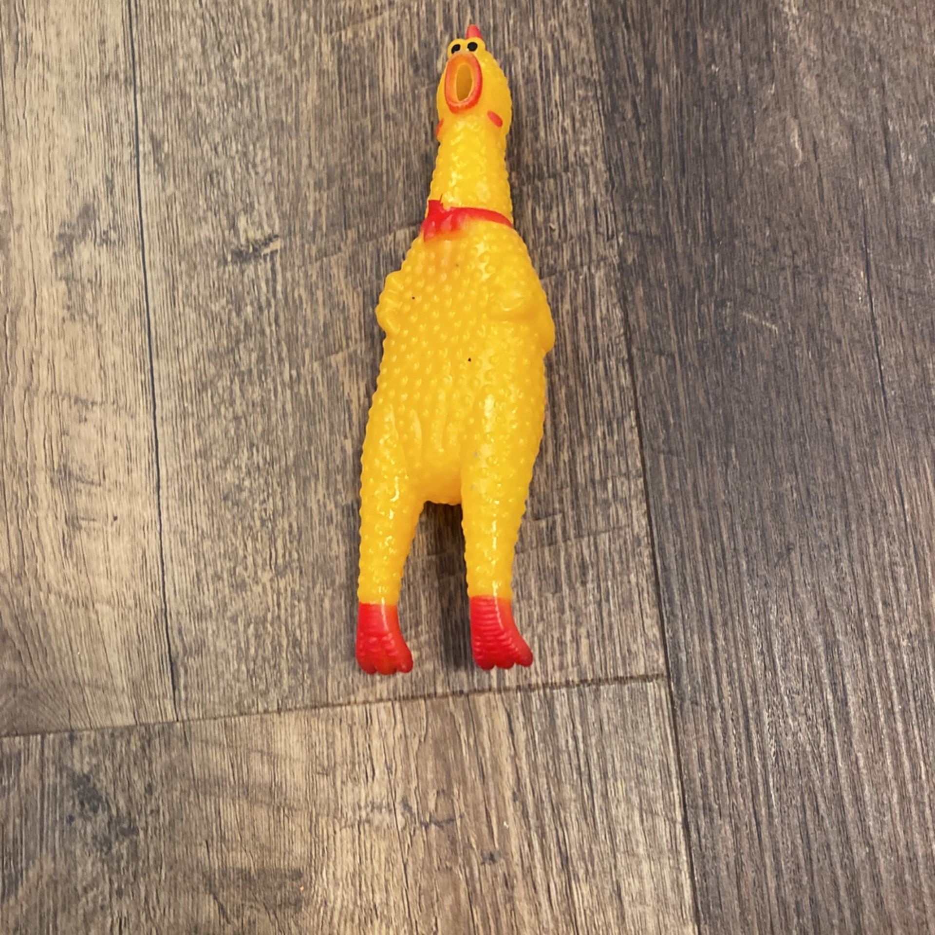 Rubber Chicken