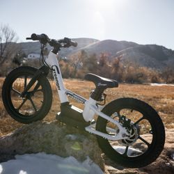 Greenger Kids Electric Bike Saddleback Model 16”