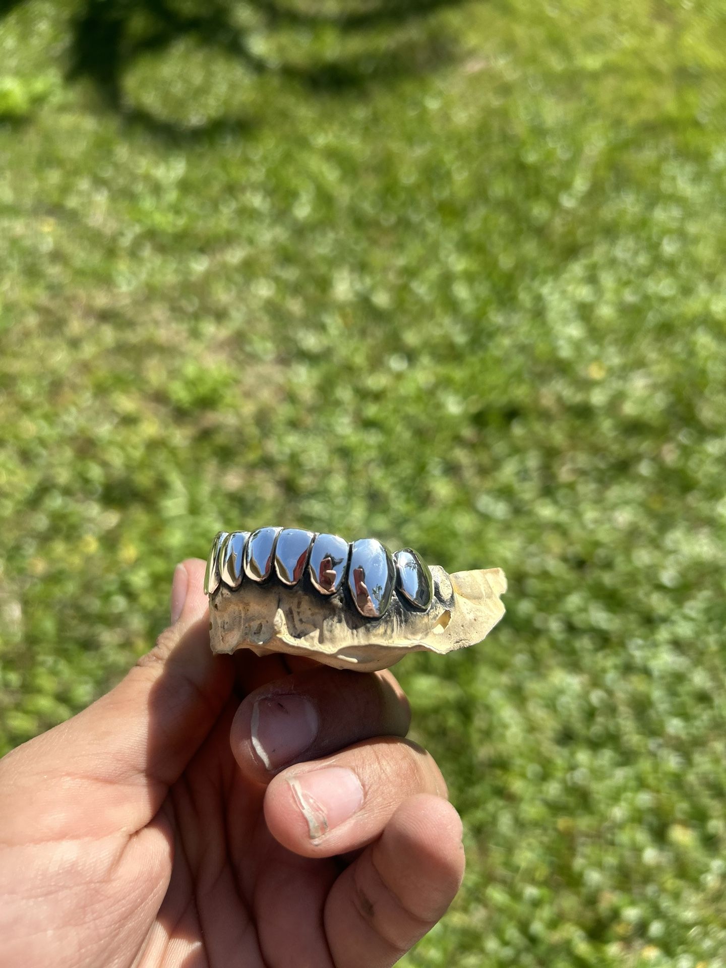Silver Grillz Bottom 8 Pack Mobile Jeweler Orlando