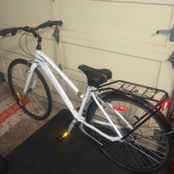 Women's Full Size Bike (Infinity)