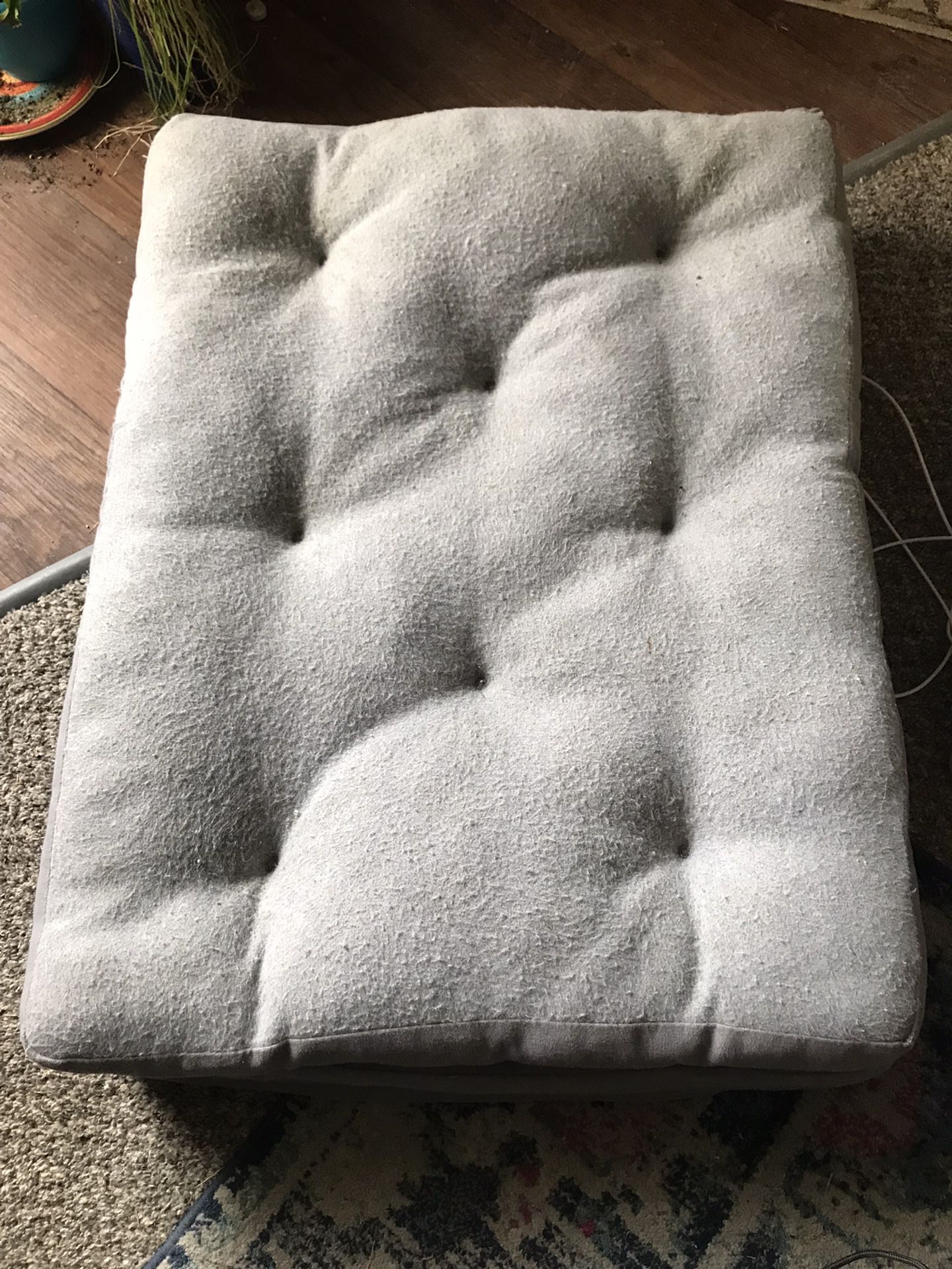 Foam Cushion Dog Bed 32x24