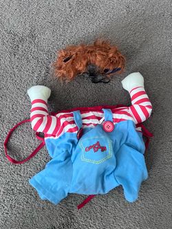 Doggie costume used for my medium size maltipoo last year