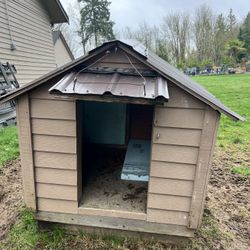 Large Dog House