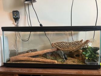 Reptile enclosure