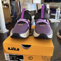 Lebron James Basketball Shoes 