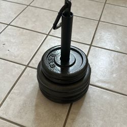25 Lbs Weights on Base w/Carabiner