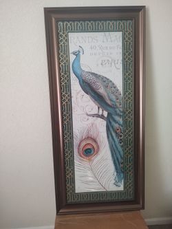 Framed art peacock