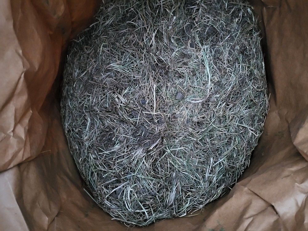 Grass Clipping, Pieces of Sod And Some Dirt