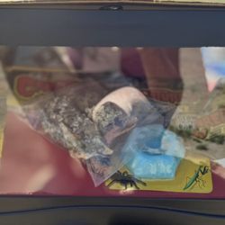 Zoo Med Unopened Terrarium