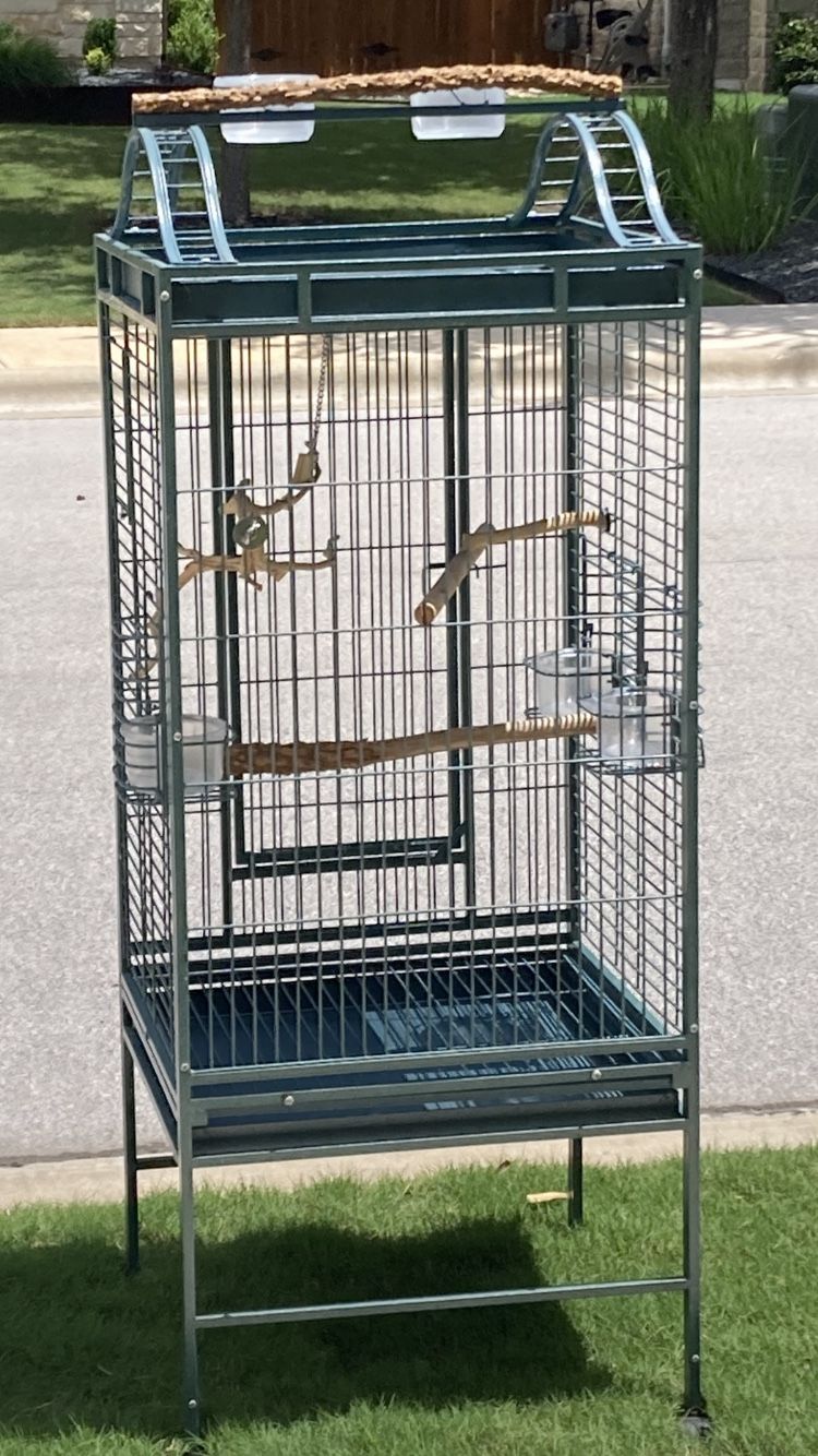 Bird Cage