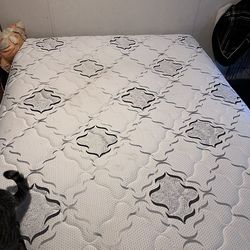 Queen Mattress and Bed Frame