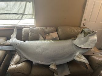 Fish Mold Tarpon