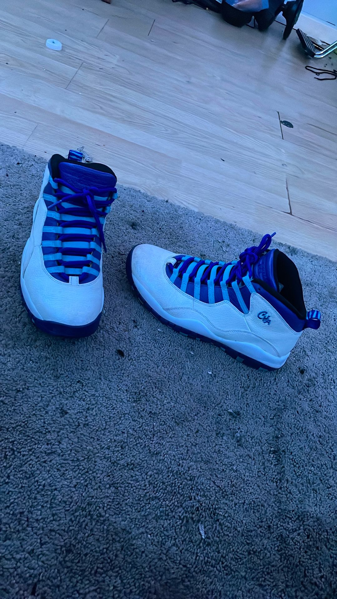 Charlotte Hornets jordan 10’s