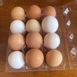 Organic Free Range Eggs