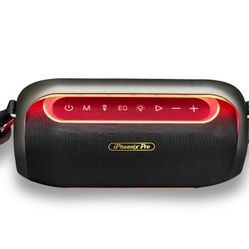 IP4 Pro 300W Wireless Karaoke Speaker with Microphone