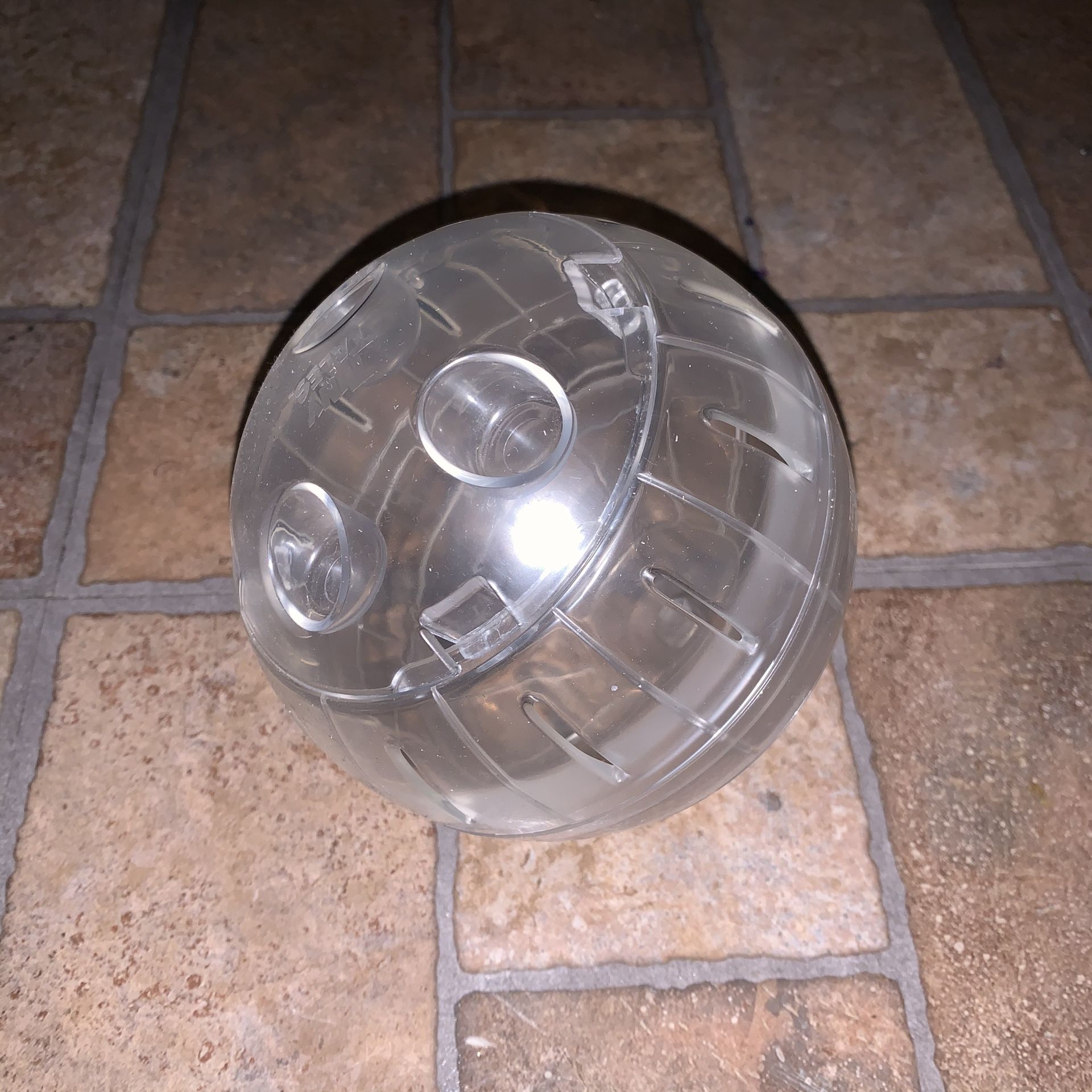 Hamster Ball