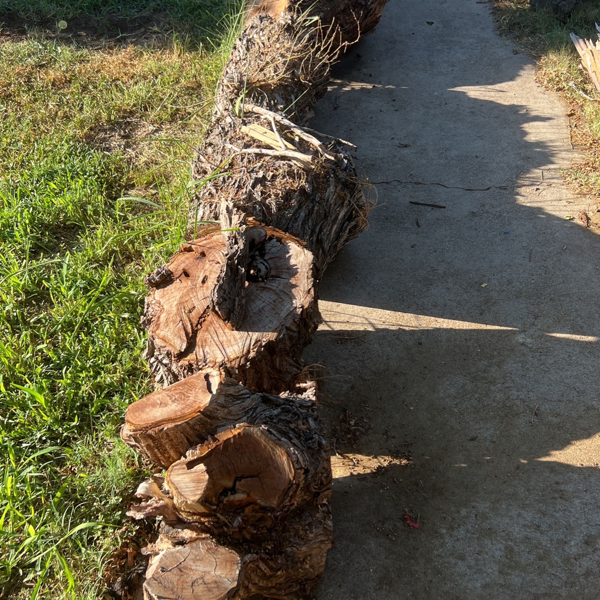 Mesquite & Pine Wood