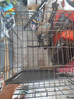 Dog crate 36*20*24