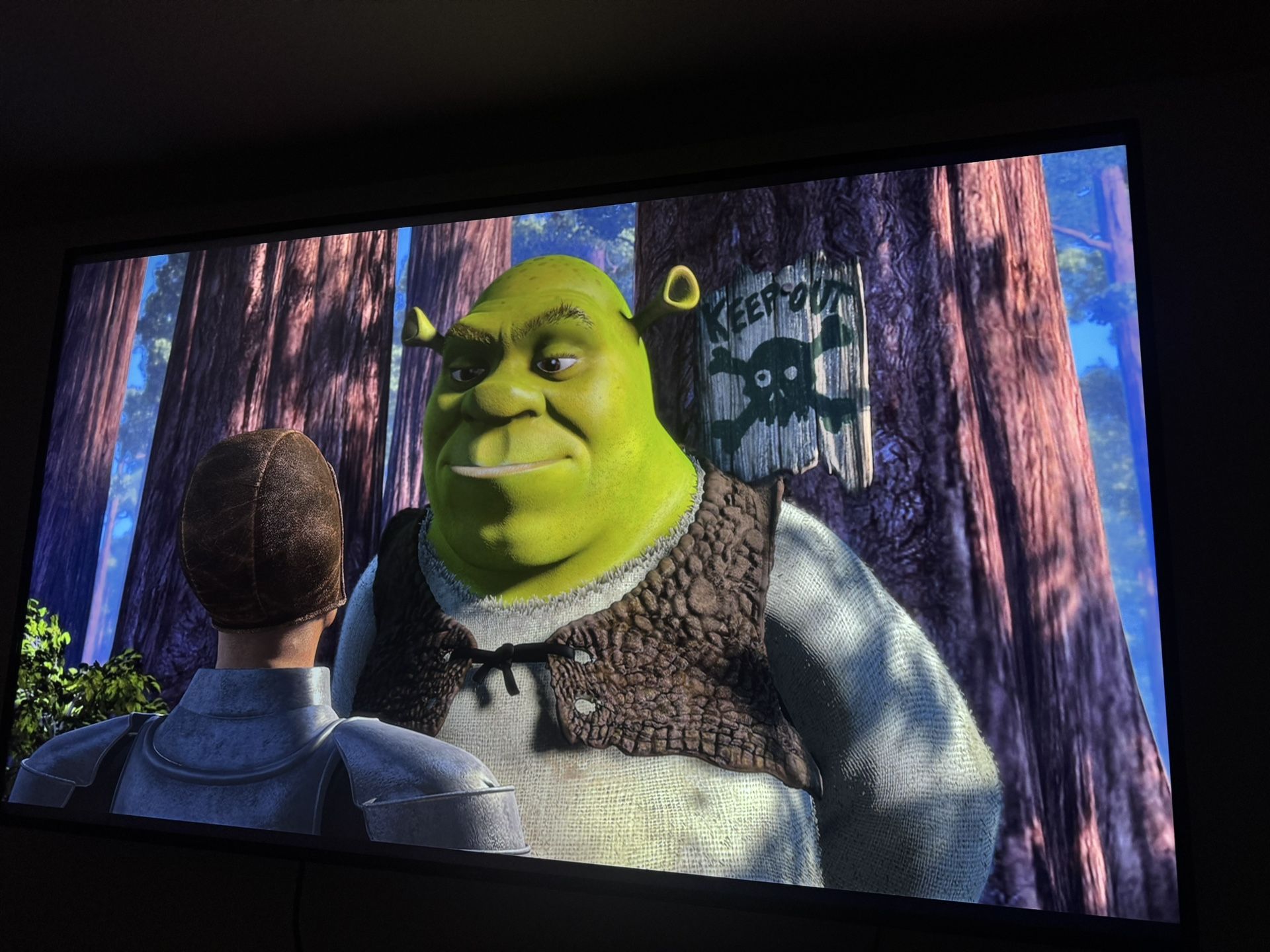 Like-New VIZIO 65 4K UHD Smart TV