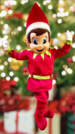 Christmas Elf Mascot Costume Birthday Halloween