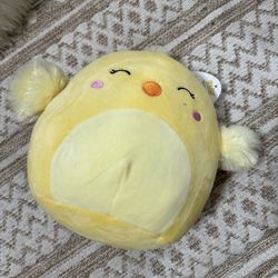 squishmallow aime