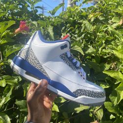 Air Jordan 3 “True Blue” (2016) Size 11