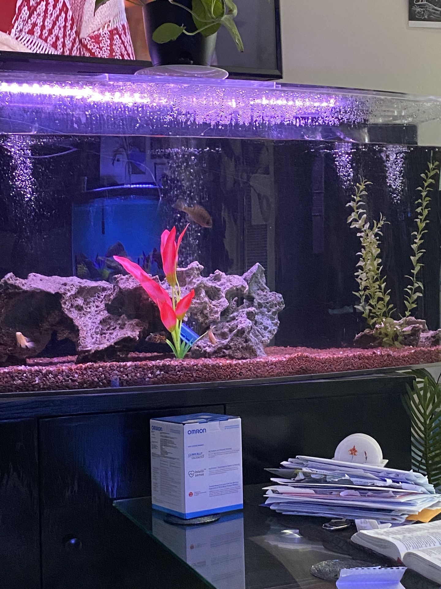 Free Aquariam Supplies