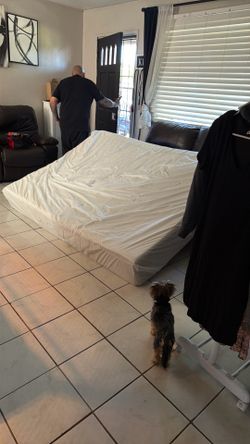 New mattress 50$