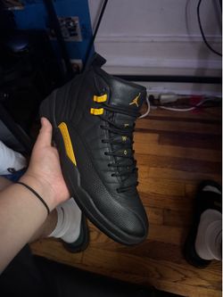 jordan 12