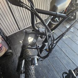 Ebike