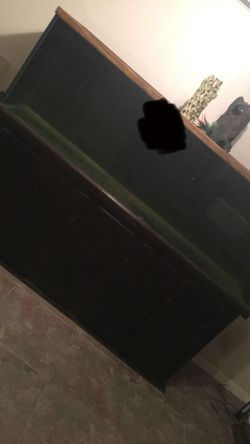 120 gallon fish tank, with FX 4 filter