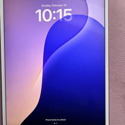 iPad Air Gen 3 Perfect Condition 