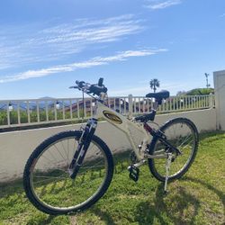 SPECIALIZED MOUNTAIN BIKE GROUND CONTROL 