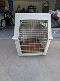 Dog Kennel