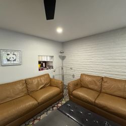 Leather Couches 