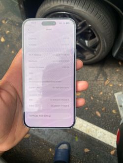 iPhone 15