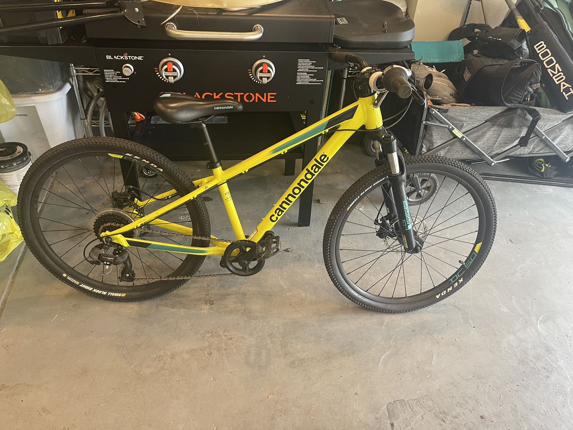 24” Cannondale