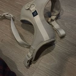 small dog gap harness