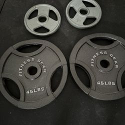 45 Lb Metal Weight Plates