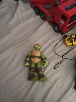 ninja turtle
