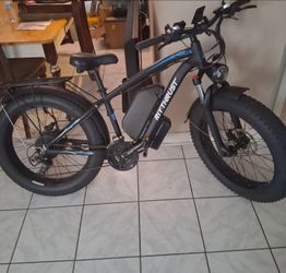 Riythrust Fat Tire Electric Bike