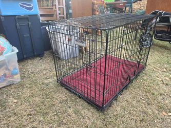 Precision Great Crate 2-Door Wire Dog Crate with Bed 36x23x26 70 lb Dog