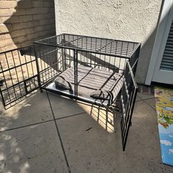 Heavy-duty metal dog crate with dog bed