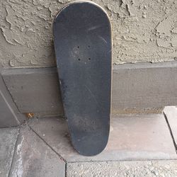 SANTA CRUZ SKATEBOARD