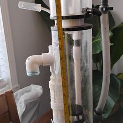 Protein Skimmer $ 65 Obo  No Water Pump