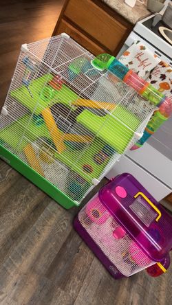 Hamster Cages