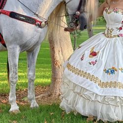 Mexican Style Quinceañera Dress 