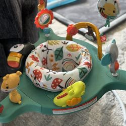 Fisher Price Baby Bouncer